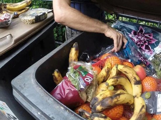 Россияне выкинули продуктов на 1,6 триллиона рублей за год