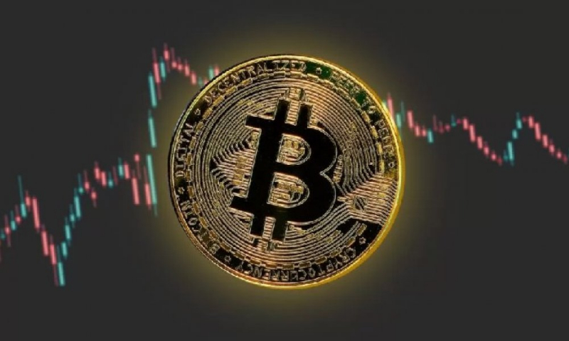 Квартальная прибыль Circle превзошла прогнозы, акции выросли на 15 % перед началом торгов